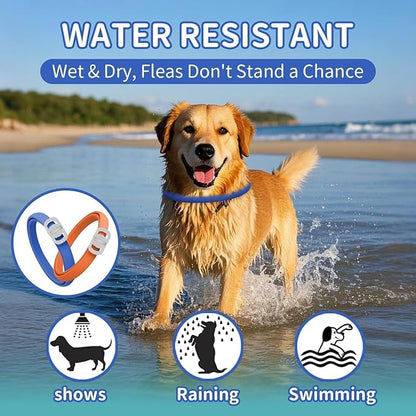 Dog Flea and Tick Collar 4 Pack, Waterproof Adjustable Collar for Dogs and Puppies, 32-Month Prevention, Blue & Orange