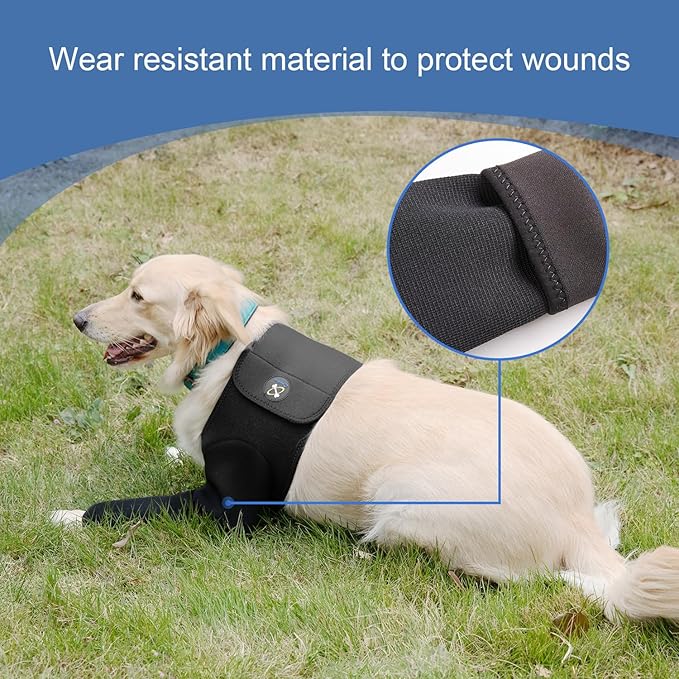 Coodeo Dog Recovery Suit, Cone Collar Alternative, Abrasion Resistant Dog Recovery Sleeve, Washable 2.5mm Thick and Waterproof, Pet Wounds Prevent Licking, Bite, Keep Dry (Black, XL)