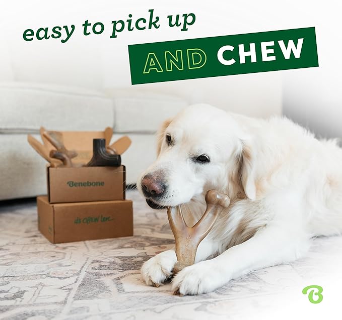 Benebone Small 4-Pack Dog Toys for Aggressive Chewers – Durable Dog Bones, Made in USA – Dog Toys for Small Dogs Under 30 lbs