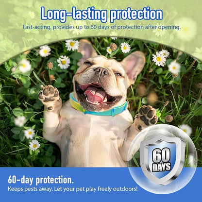 Aurora Flea Collar for Dogs,3 Pack Flea and Tick Collars, Waterproof Adjustable Dog Flea Collar with Natural Essential Oils, Long Lasting Protection for All Ages of Dogs