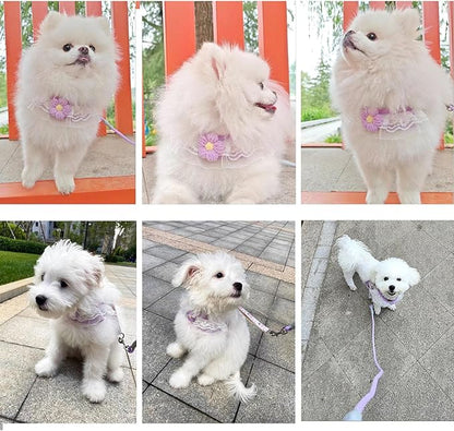 Cat Harness Collar and Leash Set, Sweet Lace Floral Kitten Collar, Escape Proof Puppy Chest Harness, Adjustable Cute Harness Leash Set for Cat Puppy Dog Outdoor Walking (Purple, S)