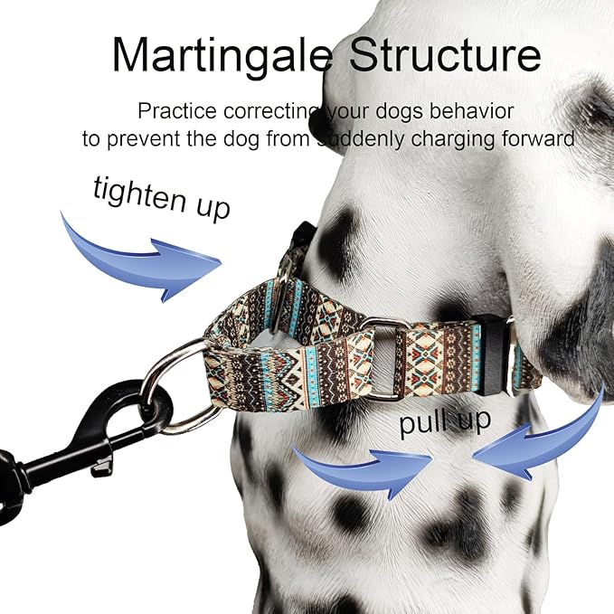 Martingale Dog Collar with Buckle Tribal Design Adjustable Escape Proof Pet Collars (Aztec, Medium)