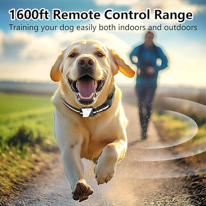Shock Collar for Dogs, Dog Training Collar with Remote Control for 2 Dogs, 3 Training Modes with Beep, Vibration and Satic, Waterproof, Rechargeable for Large Medium Small