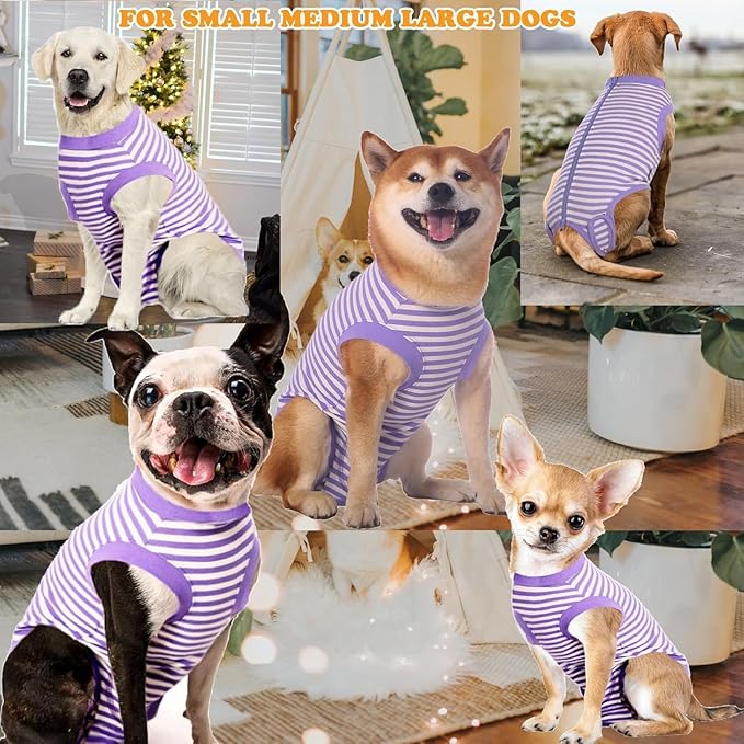 Dog Surgery Recovery Suit Dogs Neuter Spay Female Male Protective Clothes,XXL Purple-White Striped