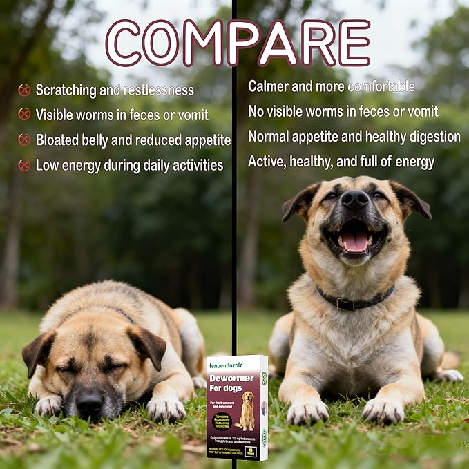 Dewormer for Dogs, Fenbendazole for All Wormers, Tapeworms, Roundworms, Hookworms and Whipworms, 24 Count(Pack of 1)
