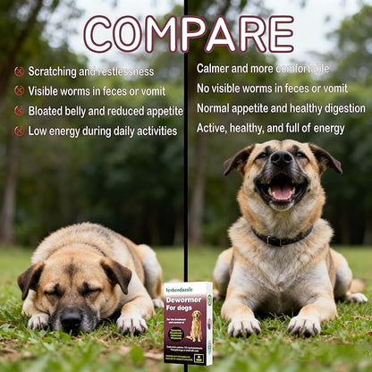 Dewormer for Dogs, Fenbendazole for All Wormers, Tapeworms, Roundworms, Hookworms and Whipworms, 24 Count(Pack of 1)