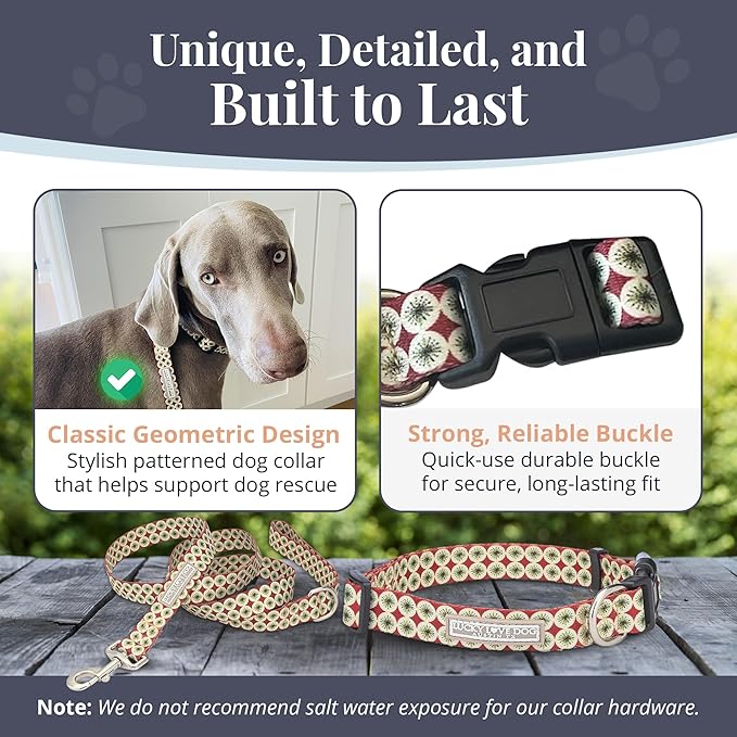 Lucky Love Dog - Easy Click Buckle Dog Collar with Leash Set Combo, Durable & Comfortable for Male & Female Dogs, Pet Collar for Large Dogs, Secure Fit - Pongo Combo, Large
