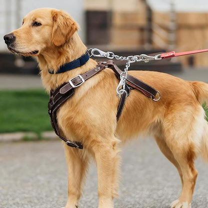 DEYACE Leash Backup with Dual Clasps Prong Collar Safety Clip Stainless Steel Dog Safety Clip Collars and No Pull Harness Connectors
