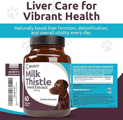 Milk Thistle for Dogs, 100mg - 60 Vegetable Capsules - Canine Liver Health Milk Thistle Supplement - Milk Herbal