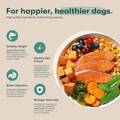 Jinx Premium Small Breed Dog Food Dry - Real Salmon & Sweet Potato Kibble with Superfoods for Immune Support & Probiotics for Digestive Support - No Fillers – 11.5lb