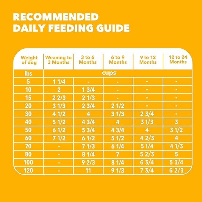 IAMS Proactive Health Puppy Food, Large Breed Premium Puppy Food for Large Dogs, 30.6 Lb. Bag