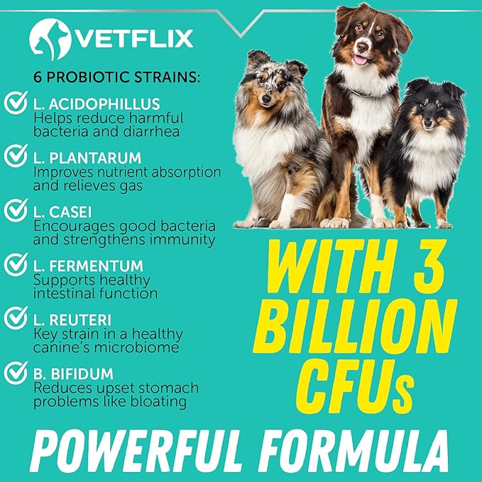 Premium Probiotics for Dogs, Cats, Puppies and Kittens - Digestive Enzymes and Prebiotics Supplement - Supports Digestive Health and Gut Balance - 2 Fl Oz