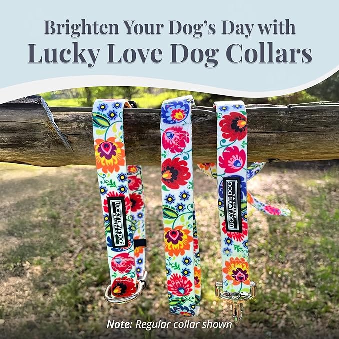 Lucky Love Dog Martingale Dog Collar - Adjustable, No-Slip, Durable, & Soft Webbing Collar for Male and Female Dogs Ideal for Training & Walking - Ladybird, Small