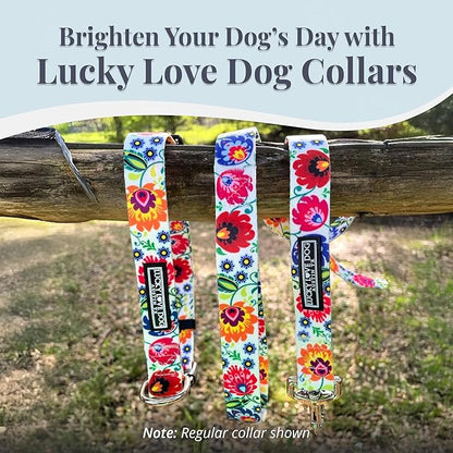 Lucky Love Dog Martingale Dog Collar - Adjustable, No-Slip, Durable, & Soft Webbing Collar for Male and Female Dogs Ideal for Training & Walking - Ladybird, Small