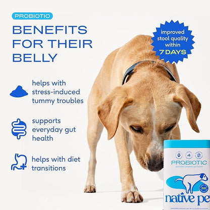 Native Pet Probiotics for Dogs – Dog Probiotic Powder for Gut & Digestive Health, Vet-Formulated 6B CFUs Dog-Specific Probiotic Strains, Supports Stool Quality & Diet Transitions – 30 Scoops