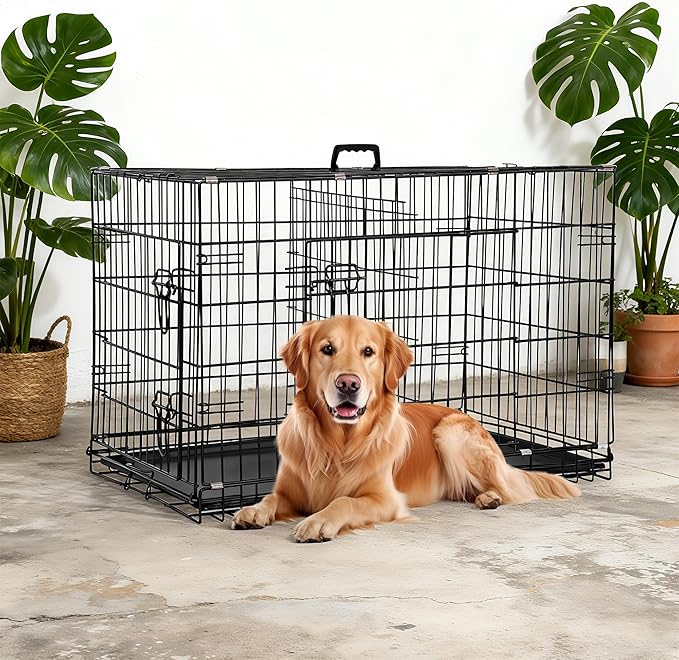 FDW Dog Crate 36-Inch Dog Cage Foldable Metal Kennel with Leakproof Tray Foldable Design Indoor Outdoor Use for Medium Dogs,Dark Black
