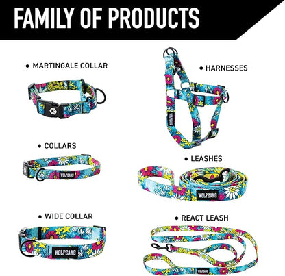 Wolfgang Heavy Duty Dog Leash, Pull-Tested for Walking & Training, LazyDaisy Print, Small