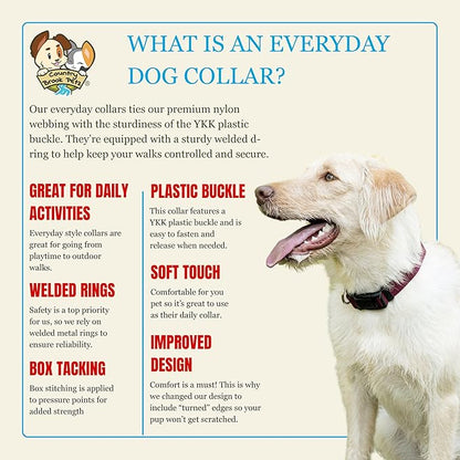 Country Brook Petz - Everyday Nylon Dog Collar for Large, Medium, and Small Dogs and Puppies - for Everyday Use in 10+ Warm Colors (Large, 1 Inch Wide, Burgundy)