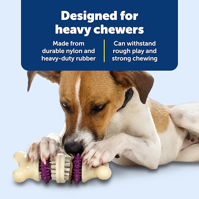 PetSafe Busy Buddy Bristle Bone Dog Chew Toy - Promotes Dental Health - Durable Nylon & Rubber - Treat Dispensing Design - Interactive Play - Refillable Treat Rings Included