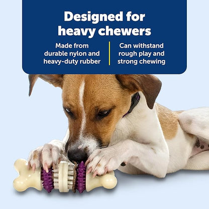 PetSafe Busy Buddy Bristle Bone Dog Chew Toy - Promotes Dental Health - Durable Nylon & Rubber - Treat Dispensing Design - Interactive Play - Refillable Treat Rings Included