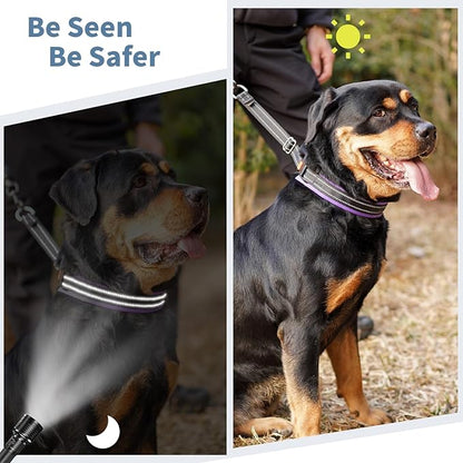 Mayerzon Martingale No Pull Collar for Small Medium Dogs, Patented Anti Pull Dog Collar with Buckle for Walking Training, with Neoprene Padding and Reflective Stitching, Adjustable(Purple Trim, S)