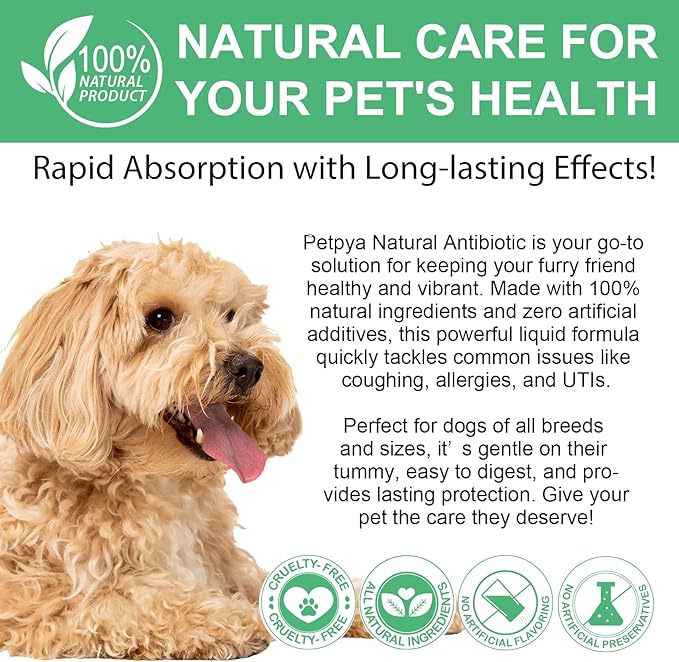 Antibiotics for Dogs, 60ML Natural Antibiotics for Dogs, Dog Antibiotics, Dog Supplies Antibiotics, Dog Multivitamin for Pets, Natural Dog Antibiotics Supports Dog Allergy and Itch Relief