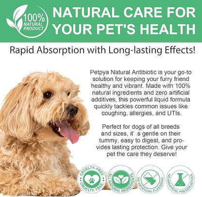 Antibiotics for Dogs, 60ML Natural Antibiotics for Dogs, Dog Antibiotics, Dog Supplies Antibiotics, Dog Multivitamin for Pets, Natural Dog Antibiotics Supports Dog Allergy and Itch Relief