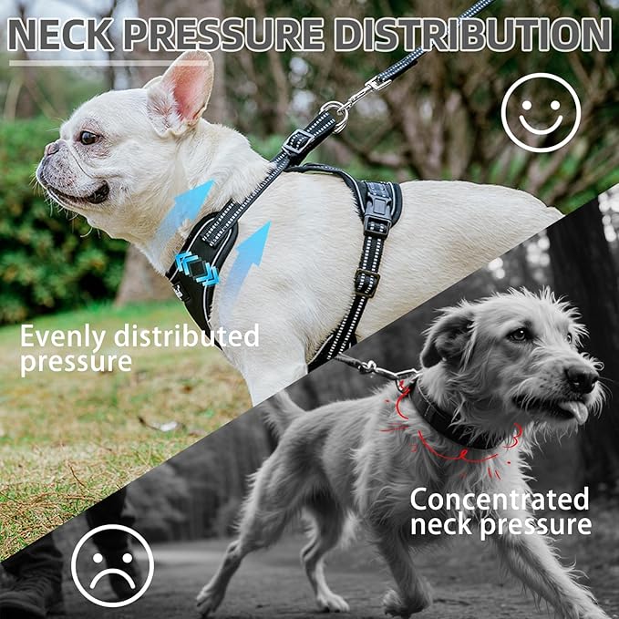 PUPTECK Dog Harness and Leash Set Medium Sized, Adjustable Reflective Escape Proof Puppy Vest, No Pull Walking Harness Easy Control
