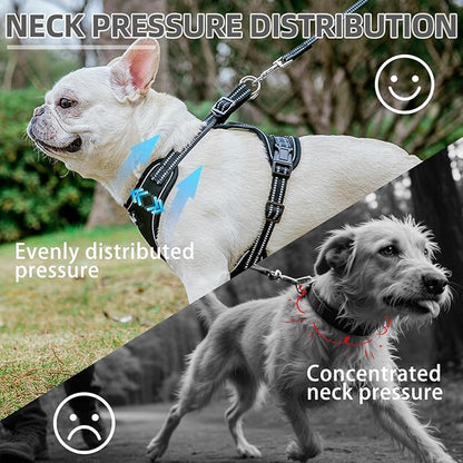 PUPTECK Dog Harness and Leash Set Medium Sized, Adjustable Reflective Escape Proof Puppy Vest, No Pull Walking Harness Easy Control
