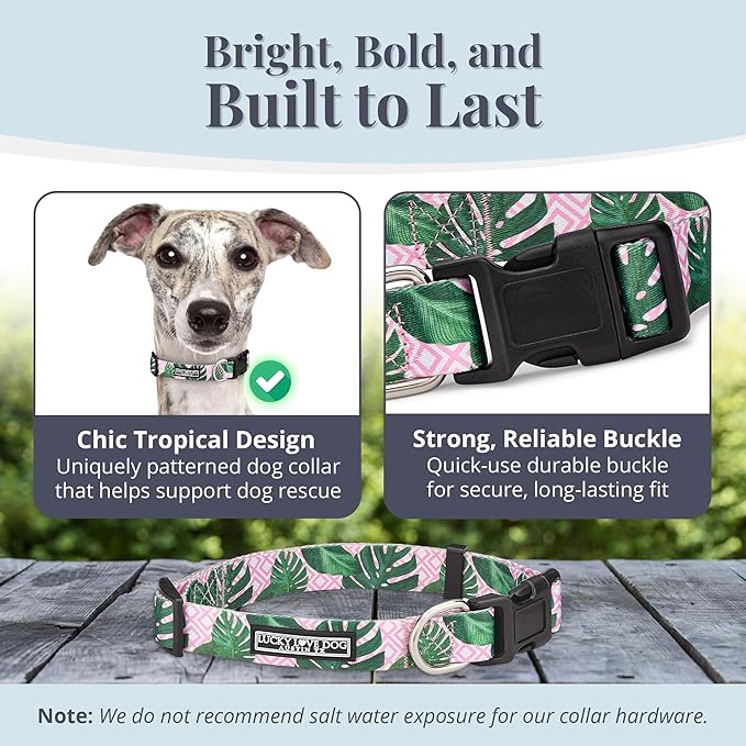 Lucky Love Dog Collars | Girl, boy Dog Collar for Small Medium Large Dogs - Comfortable, Soft, Cute - Laguna, Medium