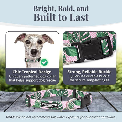 Lucky Love Dog Collars | Girl, boy Dog Collar for Small Medium Large Dogs - Comfortable, Soft, Cute - Laguna, Medium
