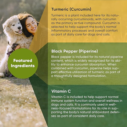 Rooted Owl Turmeric - Turmeric Supplement for Dogs and Cats - with Curcumin, Piperine and Vitamin C for Anti-Inflammatory Relief - 60/ct