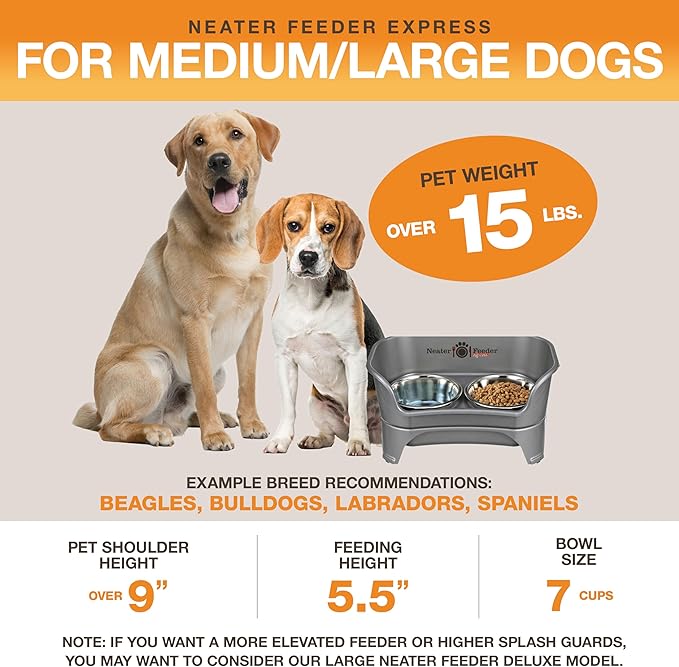 Neater Feeder Express Mess Proof Dog Bowls Elevated for Medium to Large Sized Breed, No Spill Raised Dog Food Bowl Stand, Stainless Steel Food and Water Bowl Set, Pet Dish Feeding Station, Grey