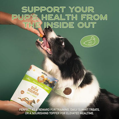 Smart Cookie All Natural Soft Dog Treats - Duck & Squash - Training Treats for Dogs with Allergies or Sensitive Stomachs - Grain Free Dog Treats, Chewy, Human-Grade, Made in USA - 5oz Bag