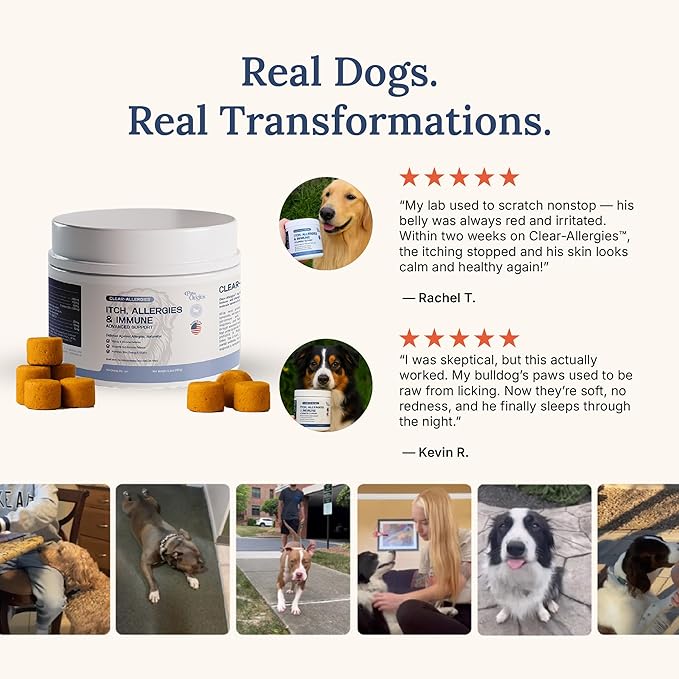 Paw Origins Dog Allergy Chews (60 Ct.) - Clear-Allergies Itch for Immune & Gut Support - Dog Allergy Relief Chews with 3 Billion CFU Probiotic Blend and Omega 3 for Seasonal Allergies - Beef Flavor