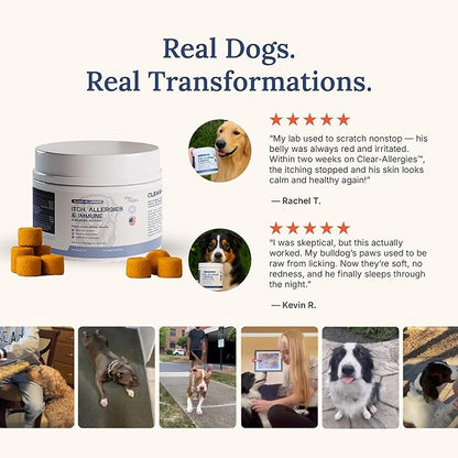 Paw Origins Dog Allergy Chews (60 Ct.) - Clear-Allergies Itch for Immune & Gut Support - Dog Allergy Relief Chews with 3 Billion CFU Probiotic Blend and Omega 3 for Seasonal Allergies - Beef Flavor