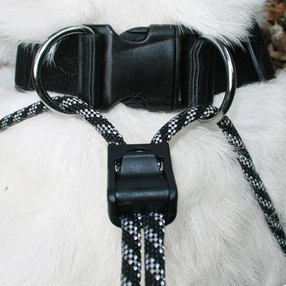 SPORN Dog Training Halter, Black, Medium
