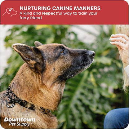Downtown Pet Supply Chrome Plated Prong Collar for Dogs, Medium - Adjustable, No-Choke and No Pull Dog Collar with Removable Links - Pinch Collar for Dogs 20-40 lbs and 20" Neck Width, Black