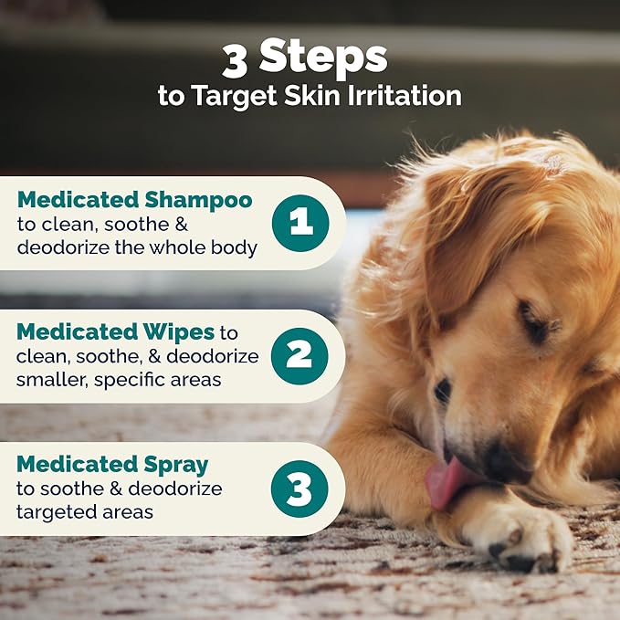 Vetnique DermaBliss Advanced Strength Chlorhexidine for Dogs Skin Spray - Antibacterial Medicated Spray for Skin Infections & Irritation, Hot Spots & Yeast Areas (Medicated Spray, 8oz)