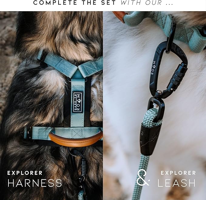 Made to ROAM Premium Dog Collar - Adjustable Heavy Duty Nylon Collar with Quick-Release Metal Buckle (Carolina Blooms, Classic Size 4)