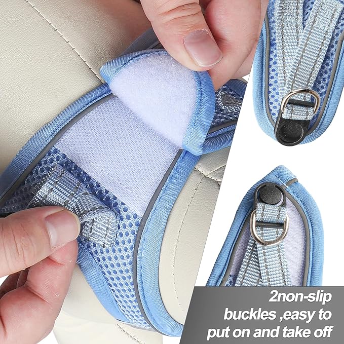 Dog Harness for Small Dogs and Leash Set, Honeycomb Grid, Reflective Lightweight Harness & Anti-Twist Pet Lead Multi Color, Size: XS-S-M. (S, Aqua Blue)