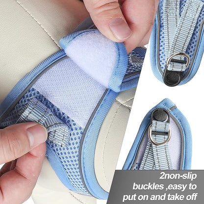 Dog Harness for Small Dogs and Leash Set, Honeycomb Grid, Reflective Lightweight Harness & Anti-Twist Pet Lead Multi Color, Size: XS-S-M. (XS, Aqua Blue)
