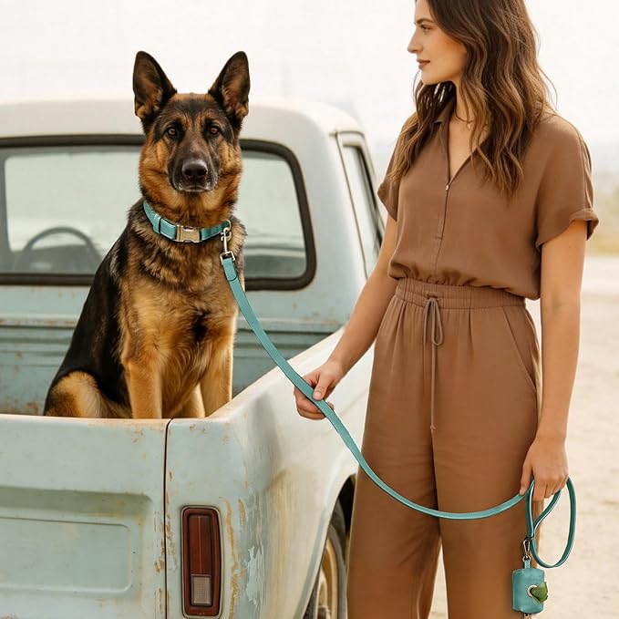 Didog Soft PU Leather Dog Collar, Stylish Quick Released Dog Collars for Large Dogs, Easy Clean Adjustable Pet Collar for Daily Walking, Green, XL Fit 20-26" Neck