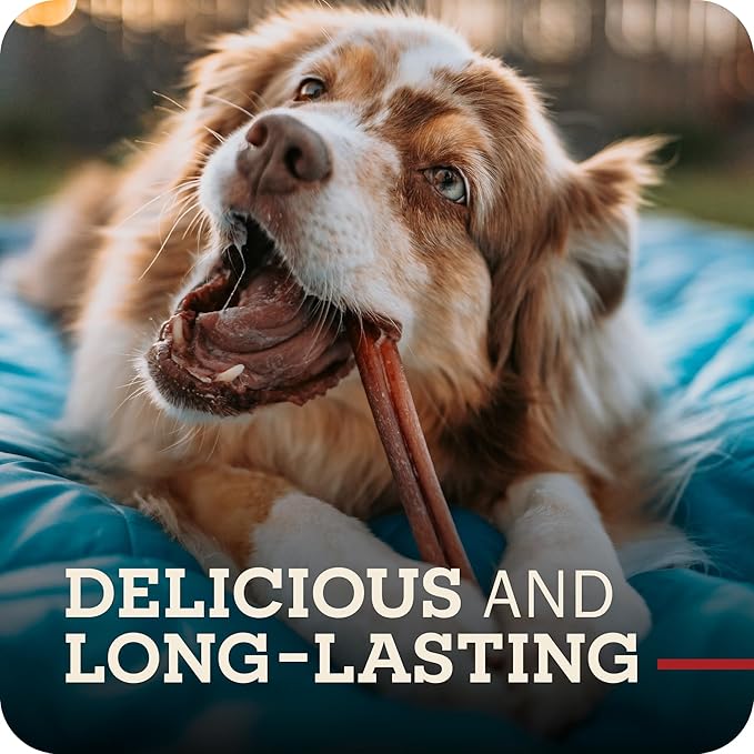 Redbarn 12" Bully Sticks for Dogs, Wrapped & Tagged Pet Chew Treat, Pack of 35