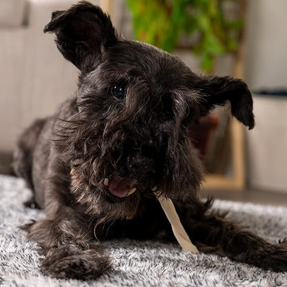 Pet Factory American Beefhide 5in Twist Sticks Dog Dental Chews - Natural Rawhide Dental Chews for Small to Medium Dogs, Promotes Oral Health - Natural, 5 Inches (1 lb Pack)