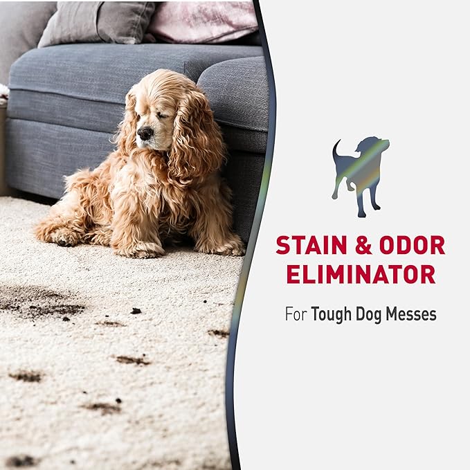 Nature’s Miracle Advanced Stain And Odor Eliminator for Dogs, 1 Gallon, Fresh Scent, Severe Mess Enzymatic Formula For Tough Pet Messes