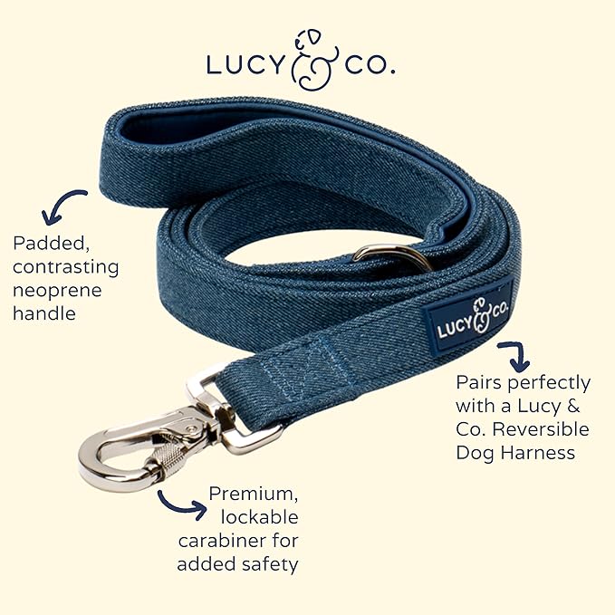 Lucy & Co. 5 Foot Designer Dog Leash for Small, Medium or Big Dogs or Puppies Puppy – Pet Accessories & Supplies- Small-Blue Denim