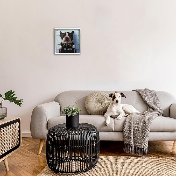 Stupell Industries Funny Boston Terrier Dog Jail Convicted Police, Design by Lucia Heffernan