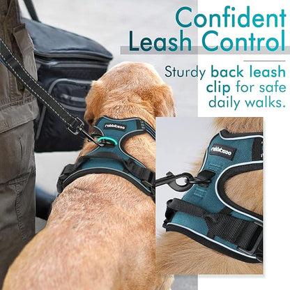 rabbitgoo Dog Harness No Pull with 2 Leash Clips, Adjustable Soft Padded, Reflective Oxford No Choke Pet Vest with Easy Control Handle for Small Dogs, Blue Coral, S