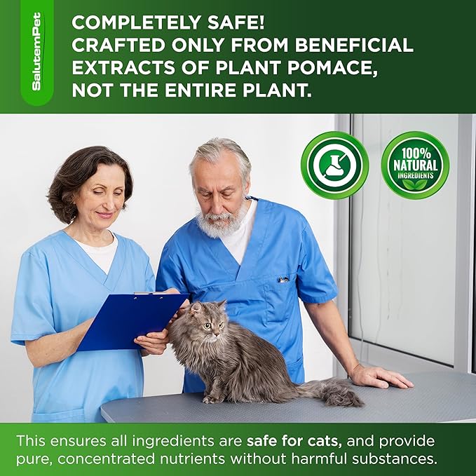 Cat Antibiotic in Drops – Natural Antibiotics for Cats with Chicken Flavor Help with UTI, Cough, Allergies – Safe for Pets and Breeds – 2-oz Bottle with a Pendant Included